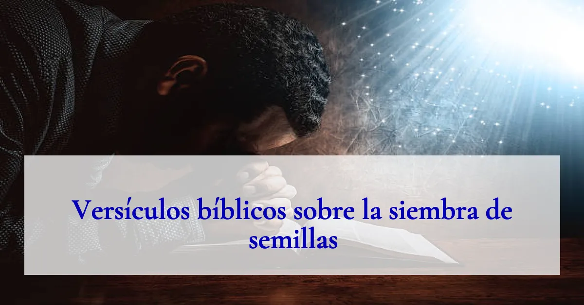 Versículos bíblicos sobre la siembra de semillas