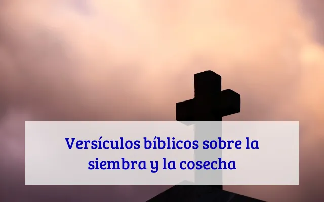 Versículos bíblicos sobre la siembra y la cosecha