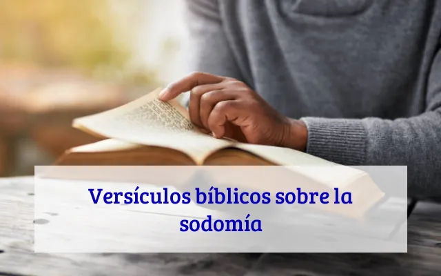Versículos bíblicos sobre la sodomía