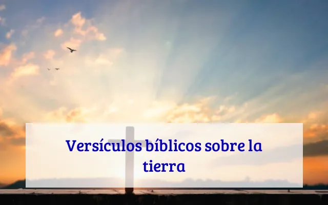 Versículos bíblicos sobre la tierra