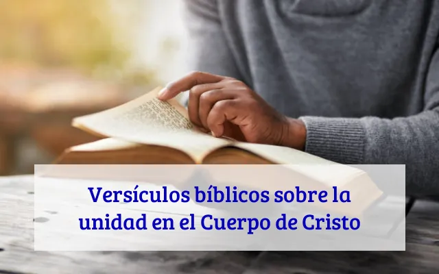 Versículos bíblicos sobre la unidad en el Cuerpo de Cristo