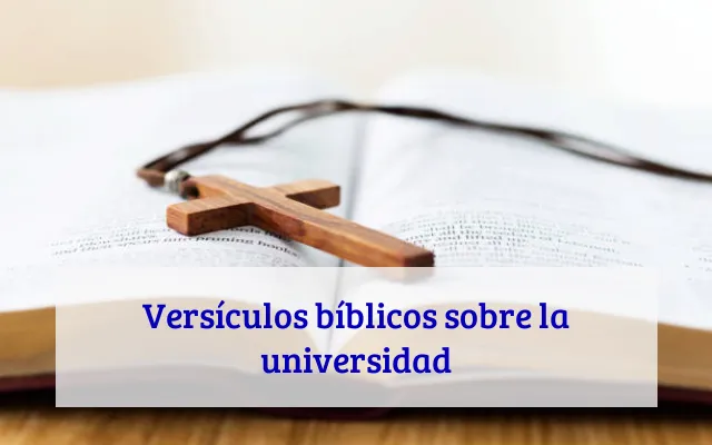 Versículos bíblicos sobre la universidad