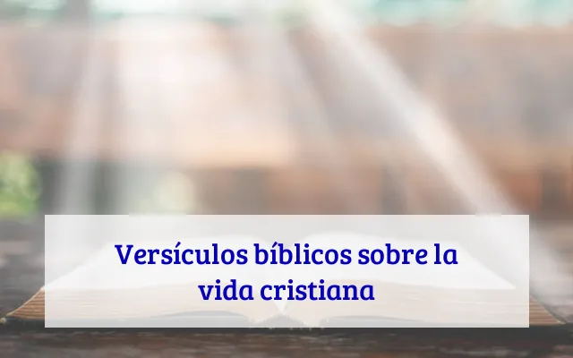 Versículos bíblicos sobre la vida cristiana