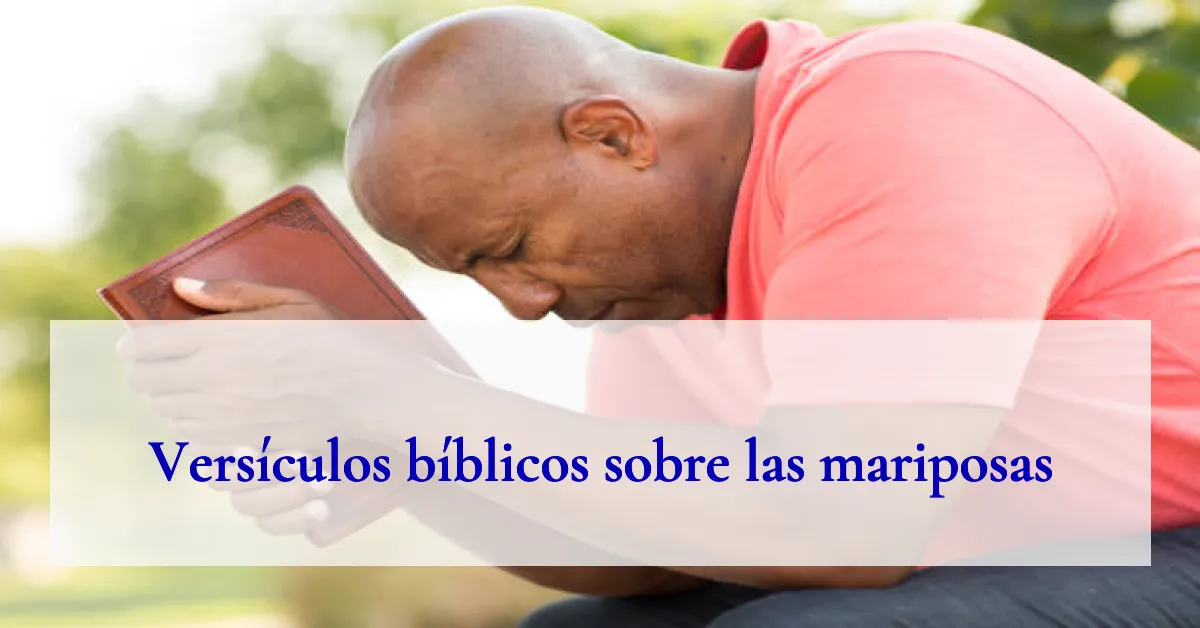 Versículos bíblicos sobre las mariposas