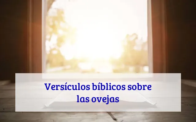 Versículos bíblicos sobre las ovejas