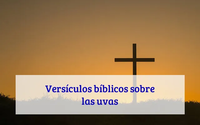 Versículos bíblicos sobre las uvas