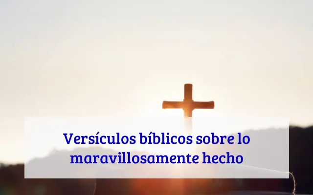 Versículos bíblicos sobre lo maravillosamente hecho