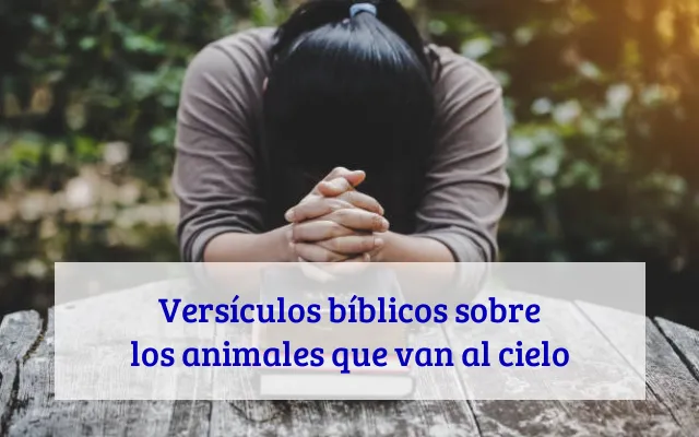 Versículos bíblicos sobre los animales que van al cielo