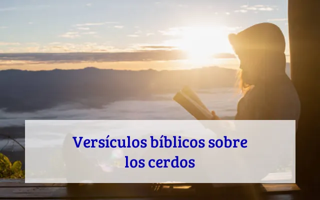 Versículos bíblicos sobre los cerdos