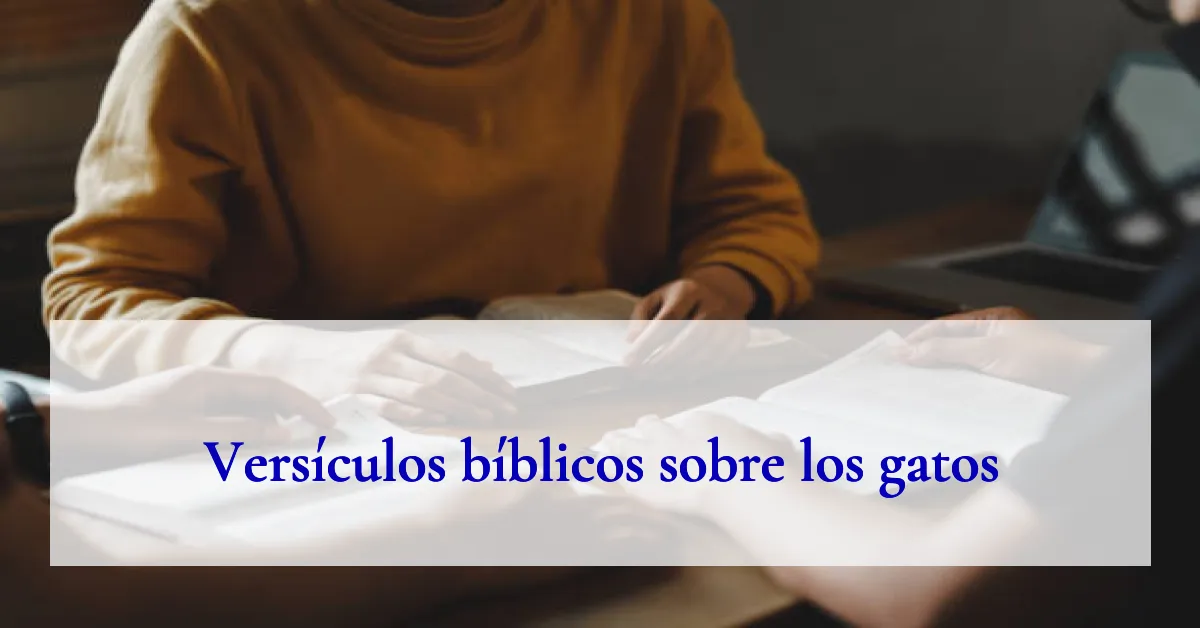 Versículos bíblicos sobre los gatos