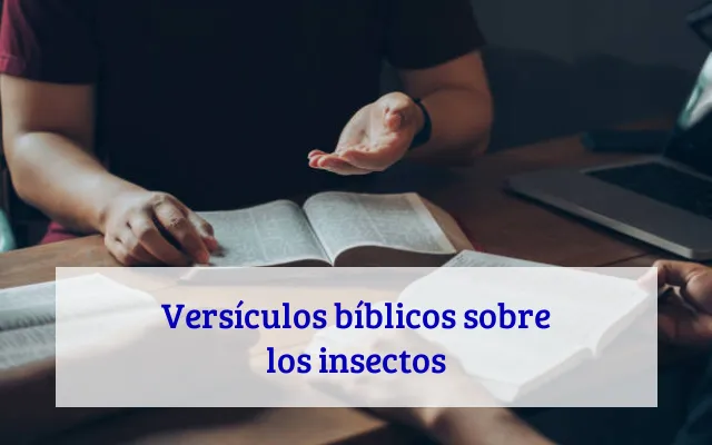 Versículos bíblicos sobre los insectos