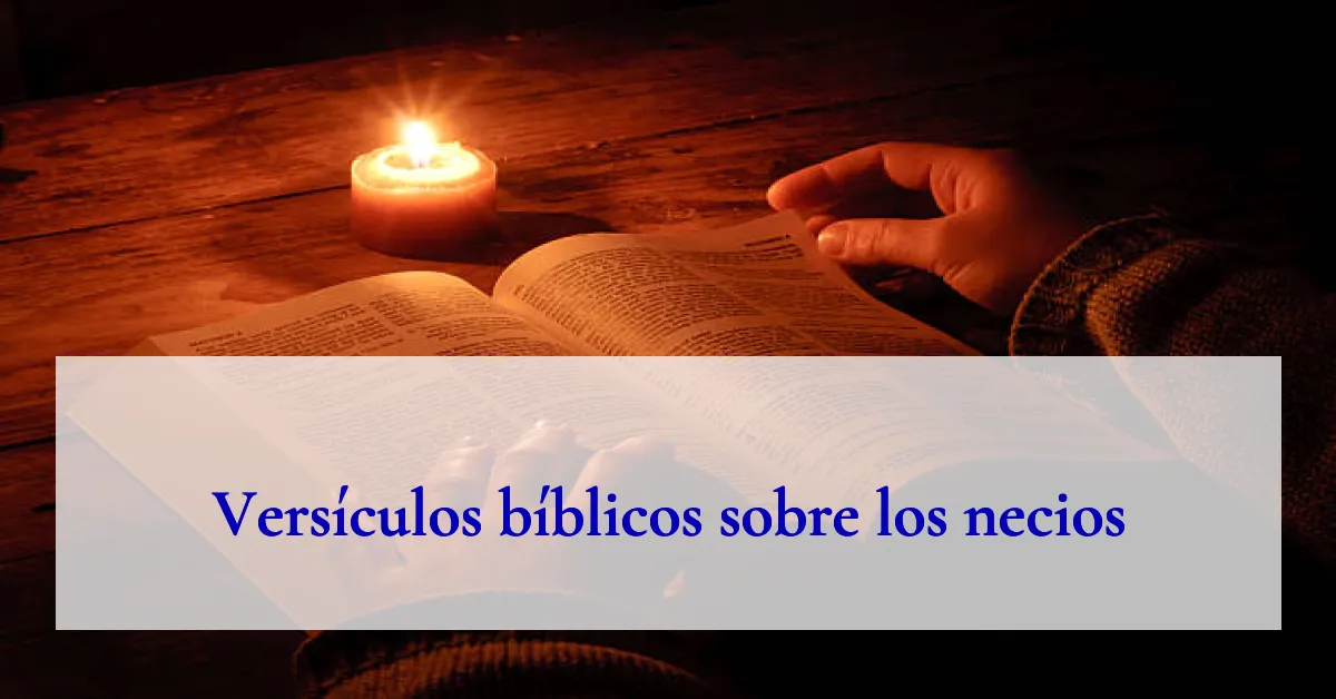 Versículos bíblicos sobre los necios
