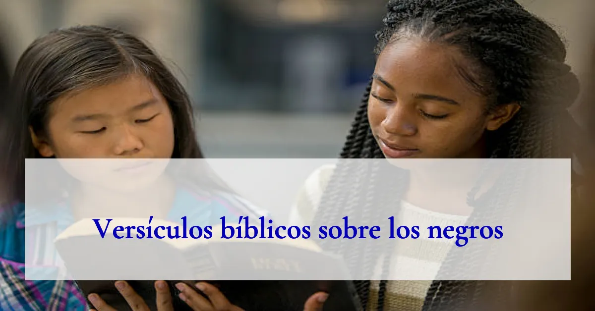 Versículos bíblicos sobre los negros