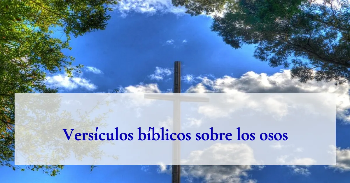Versículos bíblicos sobre los osos