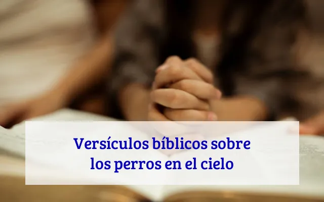 Versículos bíblicos sobre los perros en el cielo