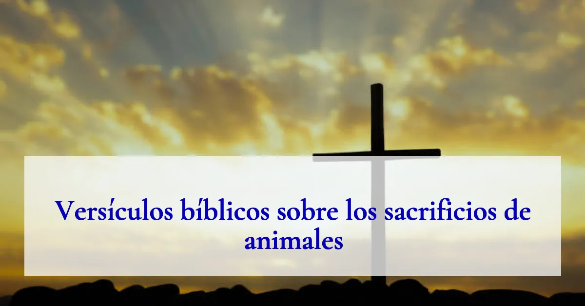 Versículos bíblicos sobre los sacrificios de animales