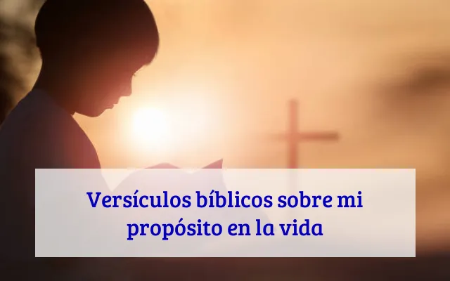 Versículos bíblicos sobre mi propósito en la vida