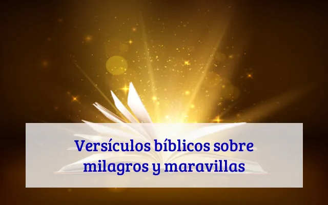 Versículos bíblicos sobre milagros y maravillas