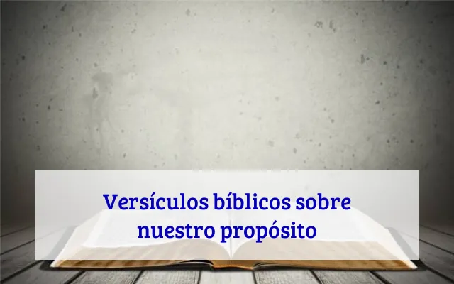 Versículos bíblicos sobre nuestro propósito
