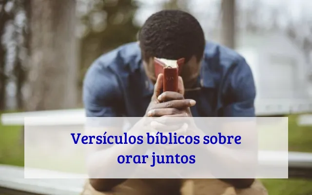 Versículos bíblicos sobre orar juntos