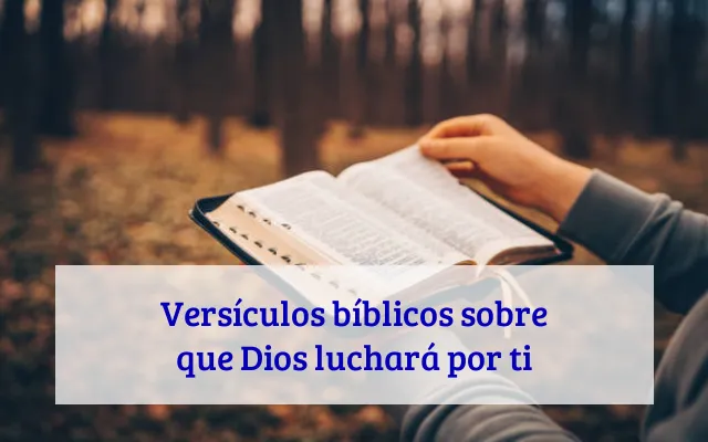 Versículos bíblicos sobre que Dios luchará por ti