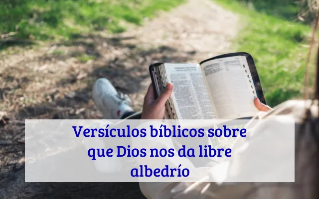 Versículos bíblicos sobre que Dios nos da libre albedrío