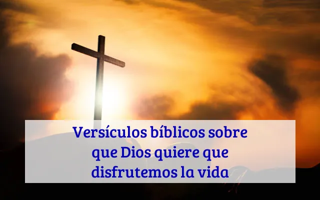 Versículos bíblicos sobre que Dios quiere que disfrutemos la vida