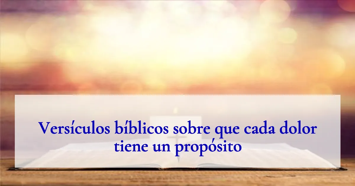Versículos bíblicos sobre que cada dolor tiene un propósito