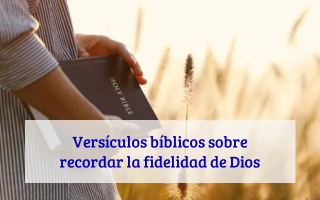 Versículos bíblicos sobre recordar la fidelidad de Dios