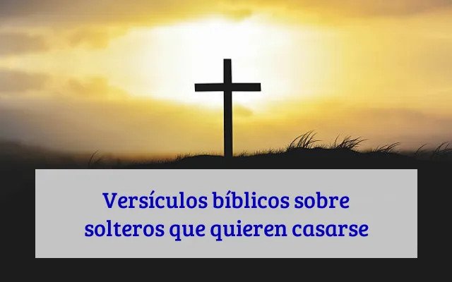 Versículos bíblicos sobre solteros que quieren casarse
