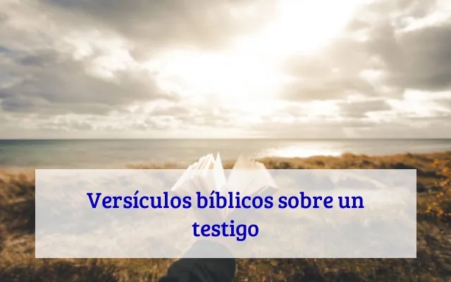Versículos bíblicos sobre un testigo