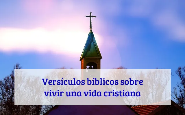 Versículos bíblicos sobre vivir una vida cristiana