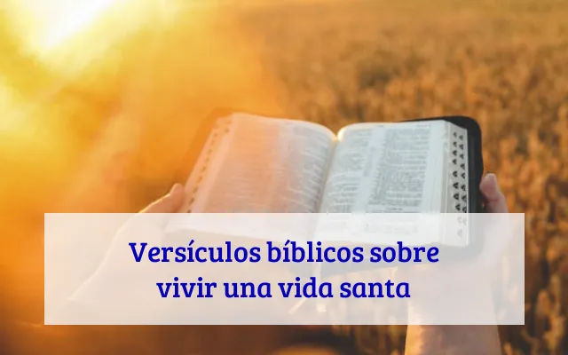 Versículos bíblicos sobre vivir una vida santa
